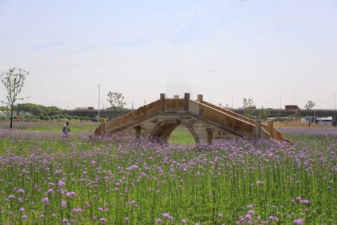 第二站 游客中心 这里是北太湖(望亭)旅游风景区游客服务中心 第三站