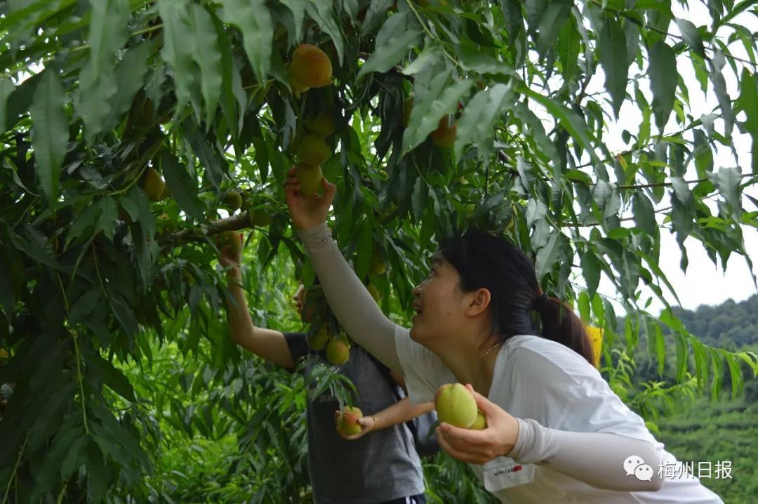 傅思 rmh.pdnews.cn