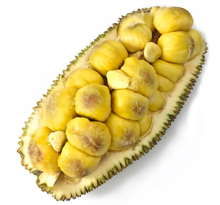 ζտֳɹ,˵˾ͣ!