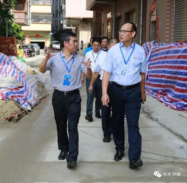 水乡管委会主任叶葆华赴东莞西站洪梅单元指导土地整备入户工作