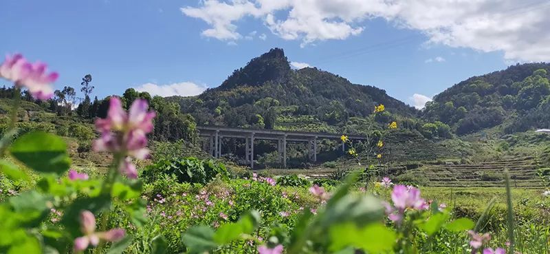 【闽东之光】福安康厝畲族乡东山村:自力更生过好"下山"的日子