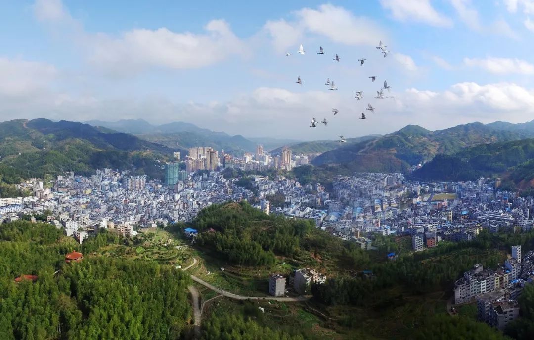 走进寿宁县鳌阳镇茗溪大桥头的景泰门,只见乳白色的4根大石柱"一"字排