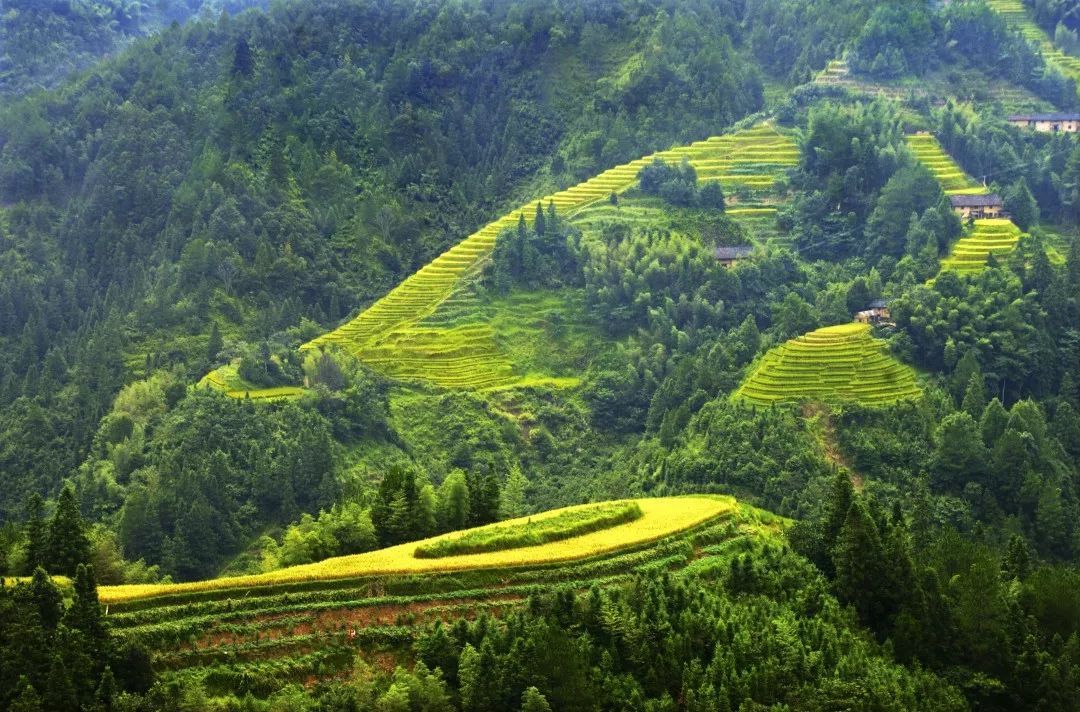 2019年夏季避暑旅游目的地候选单位巡展第六弹桂东县