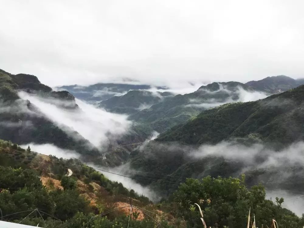 大寺基景区