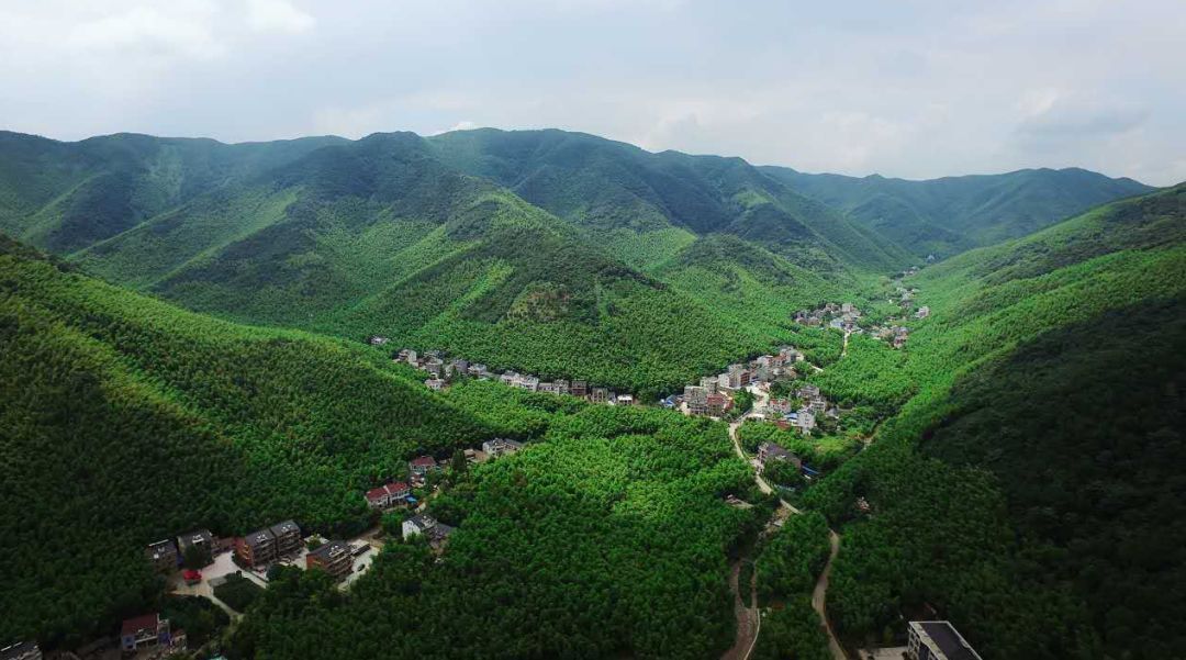 水口乡 金山村水口乡 徽州庄村水口乡 顾渚村今天,小编就要上一波湖州