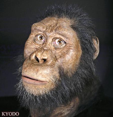 日媒非洲发现380万年前猿人头骨化石并复原出面容