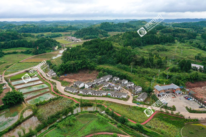 路通山村觅莲香---简阳市平泉镇荷桥村