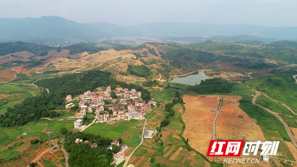 我和我的村庄|江华瑶族自治县社湾村:"土地流转"转出万亩现代农业产业