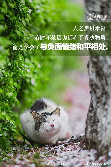 从今天起你该学会做一个情绪稳定的成年人了
