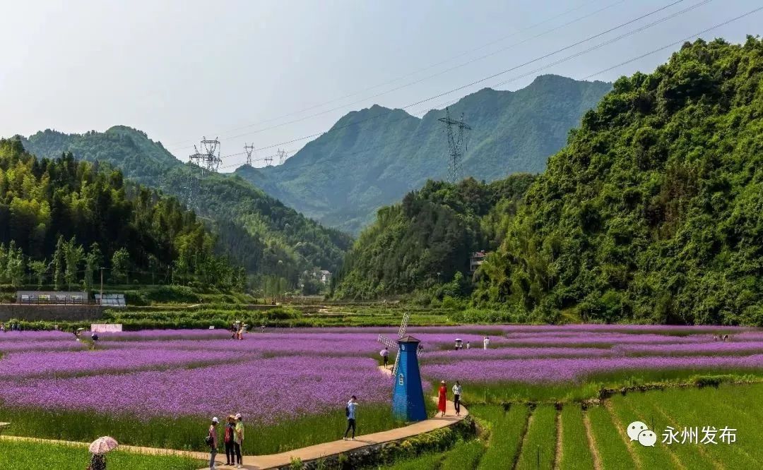 永州这些新兴景区成旅游网红地你去过哪些