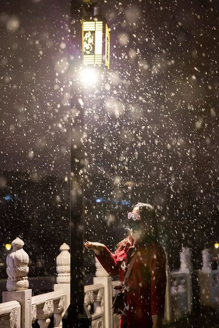 什刹海岸边,路灯的映照下,大片的雪花飘落.