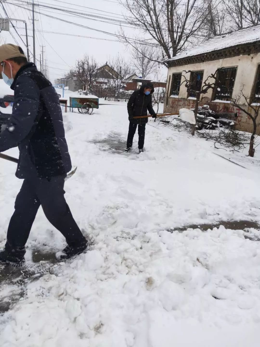 芦头镇东莱街道↓↓↓清雪!值守!