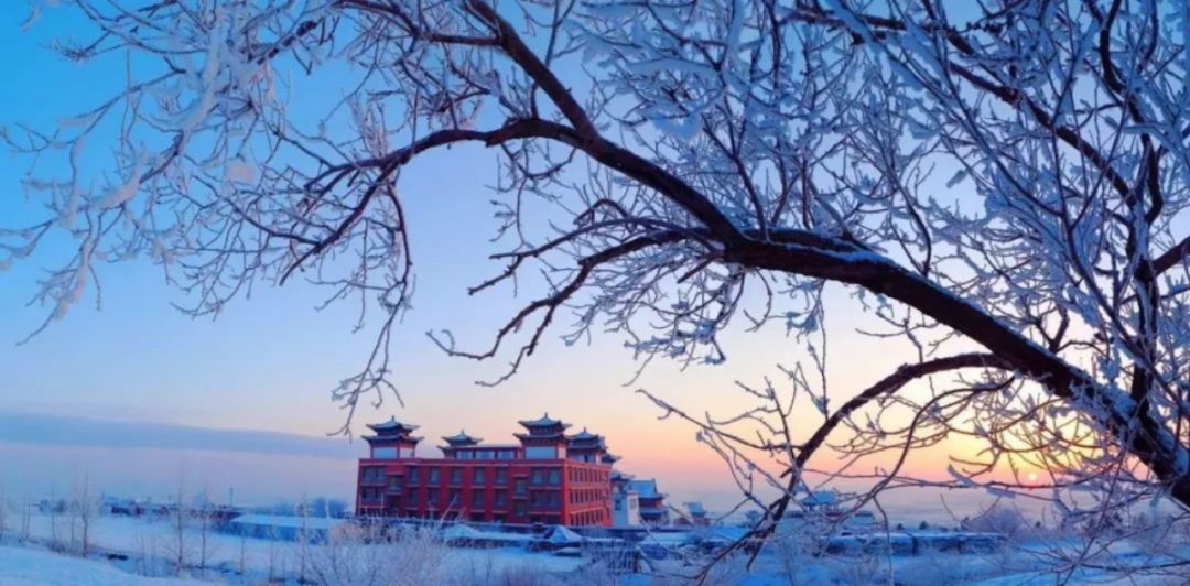 请您欣赏海拉尔绝美雪景!