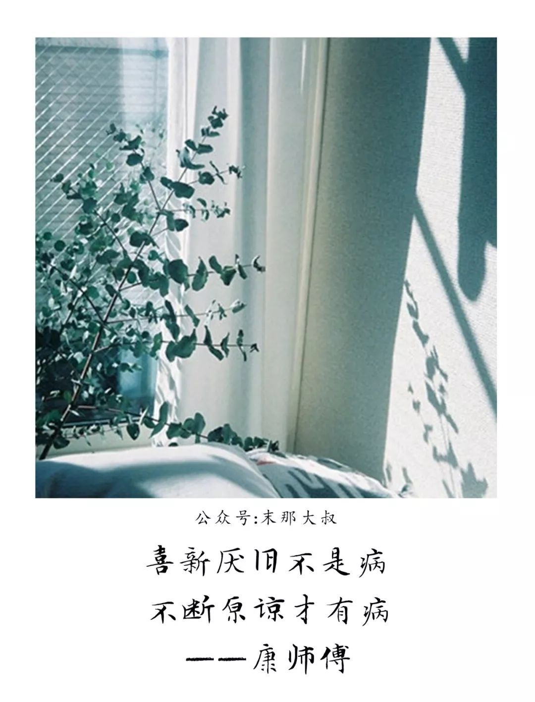 "心软是病,情深致命"