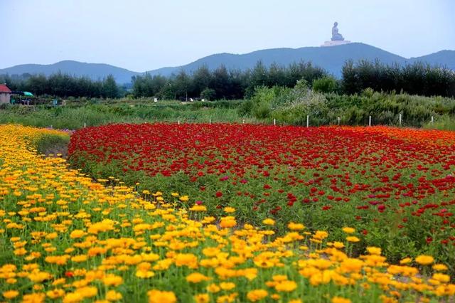 【全域旅游大德敦化】美景系列—六鼎山文化旅游区