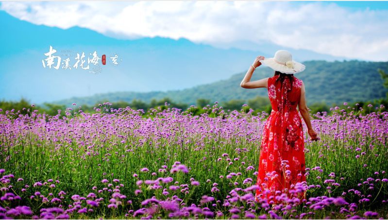 南溪花海景区