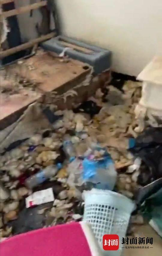 谁顶得住?租房期满留下遍地狗屎垃圾成堆 95后女租客还将房东拉黑
