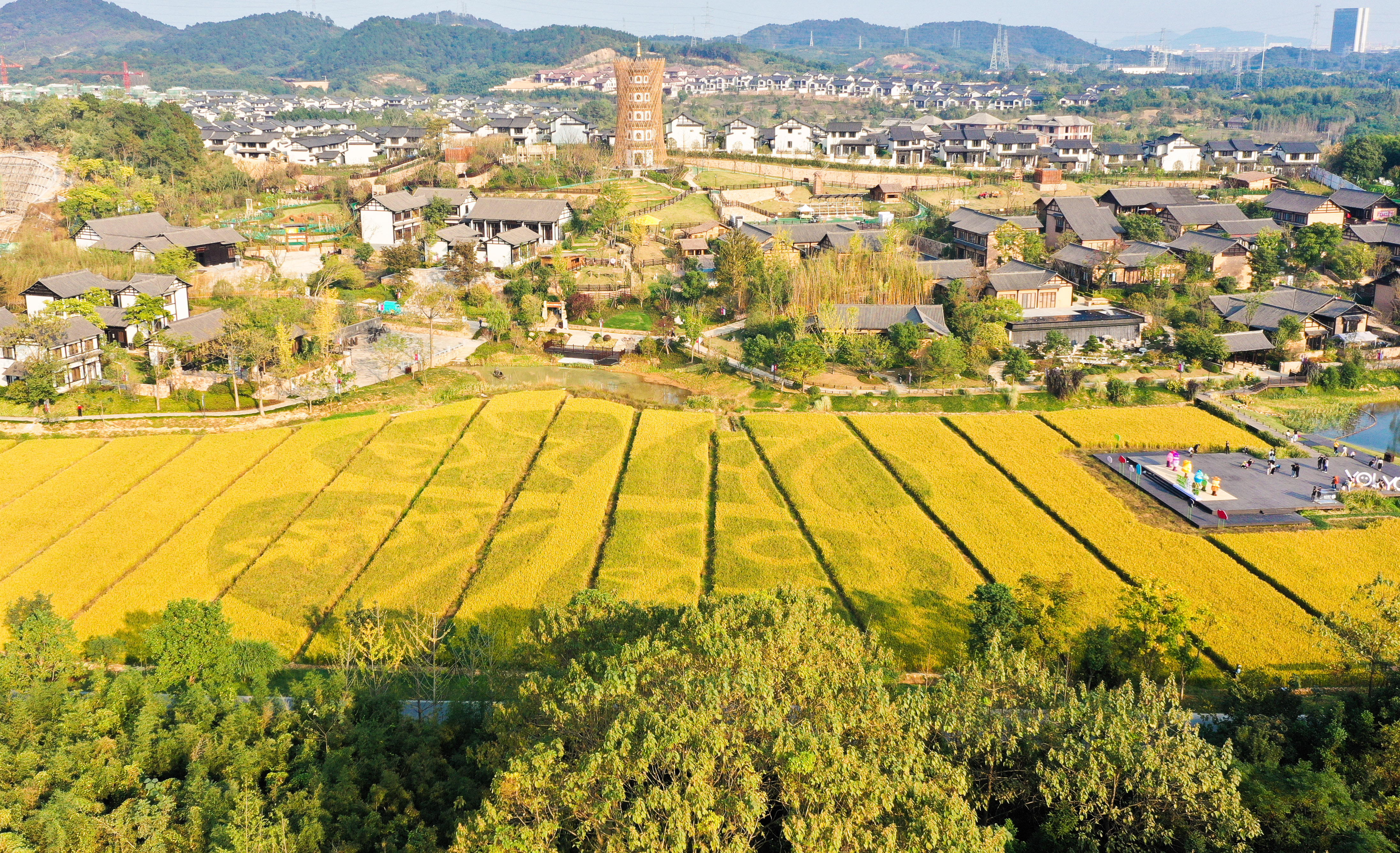 2019年10月19日,航拍浙江省德清县阜溪街道郭肇村