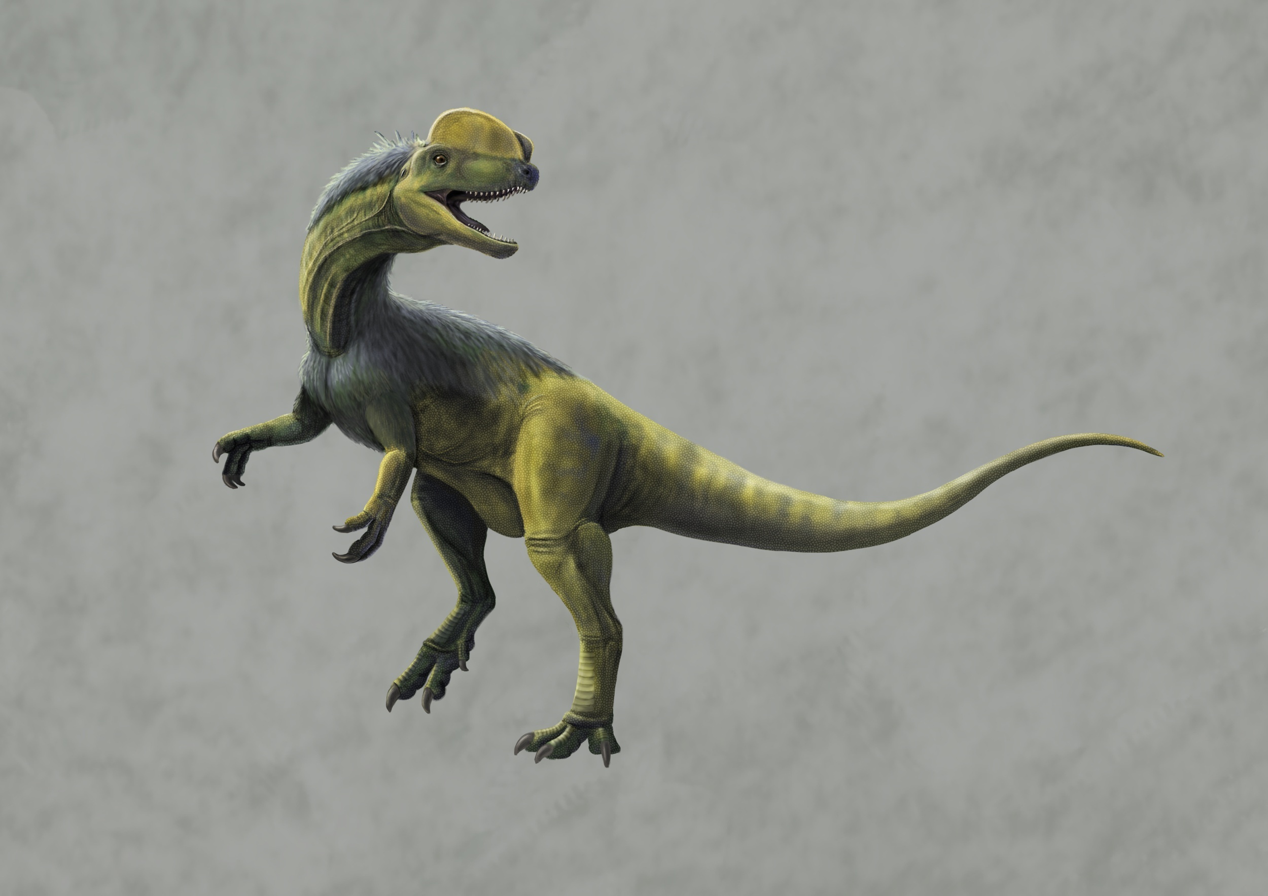 重庆城区发现侏罗纪早期大型肉食恐龙出没证据
