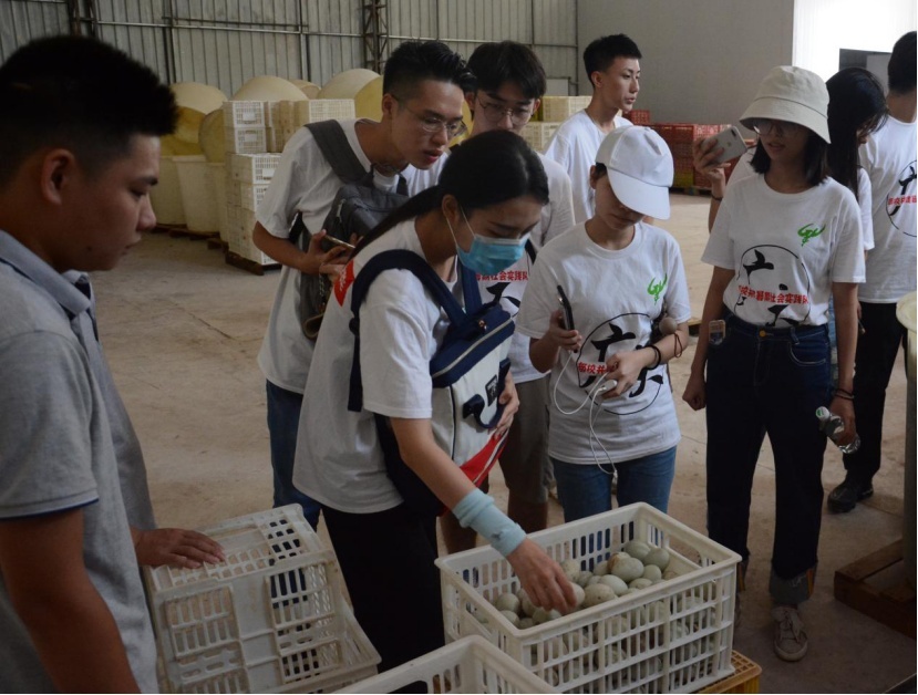 1595951514110281.png?x-oss-process=style/w10 image.png?x-oss-process=style/w10