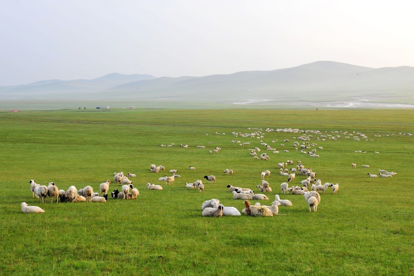 内蒙古阿鲁科尔沁草原游牧系统正式认定为全球重要农业文化遗产
