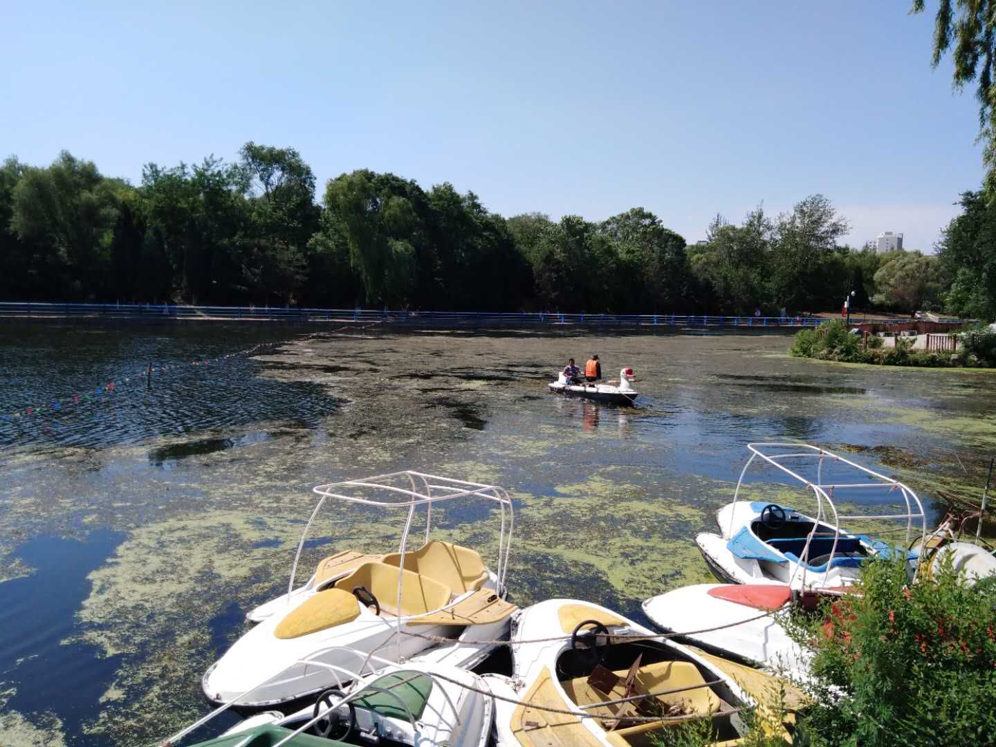 葫芦岛龙湾公园摄影图片欣赏