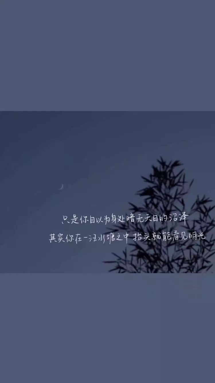成年人的崩溃,都是静悄悄的