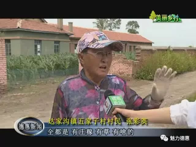 看看今天达家沟镇五家子村