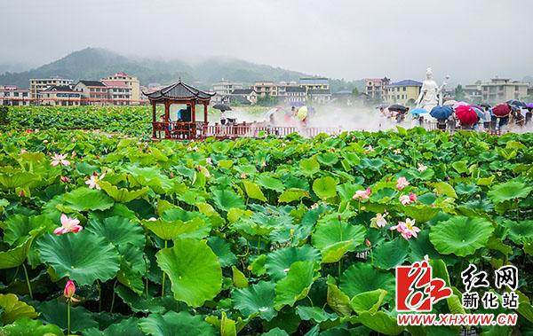 7月12日,在新化县槎溪镇杨家边,虽大雨下了整整一天,但由于该村1000余