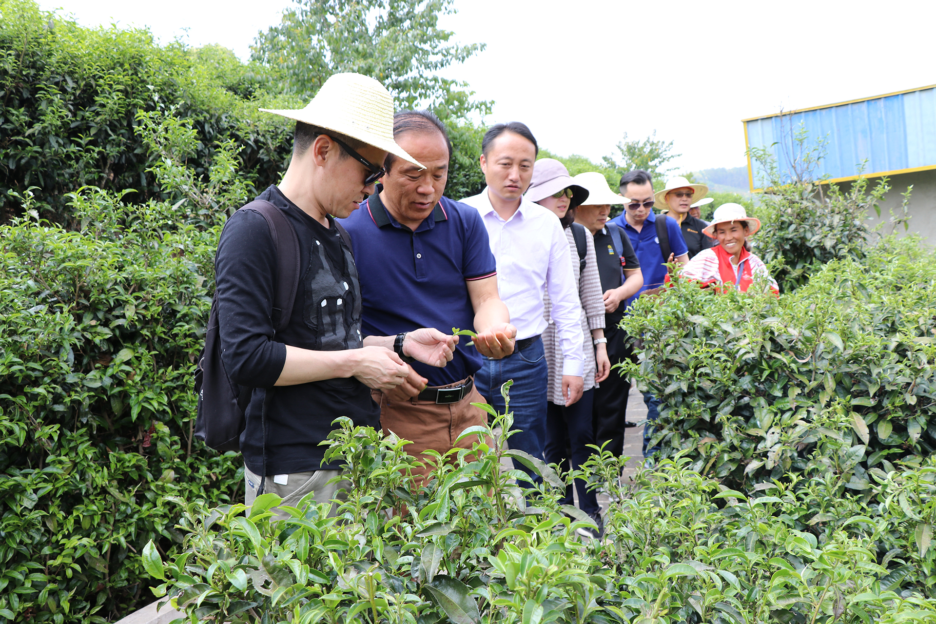 平达沪滇携手共筑小康路