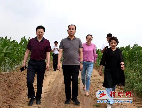 河曲县长任鸿宾深入乡村调研农业产业化发展