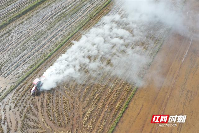 衡阳县西渡镇梅花村,农民驾驶农机在喷撒石灰,以消毒和改良土壤.