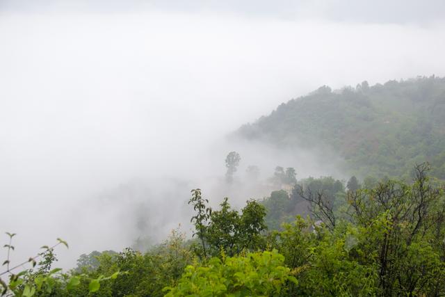 行走秦岭海棠山:9时37分,站在海棠山最高处,远处云雾渐渐散去