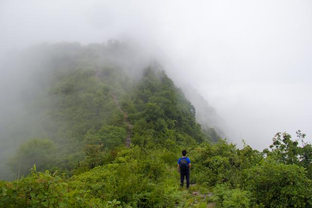 行走秦岭海棠山:9时37分,站在海棠山最高处,远处云雾渐渐散去
