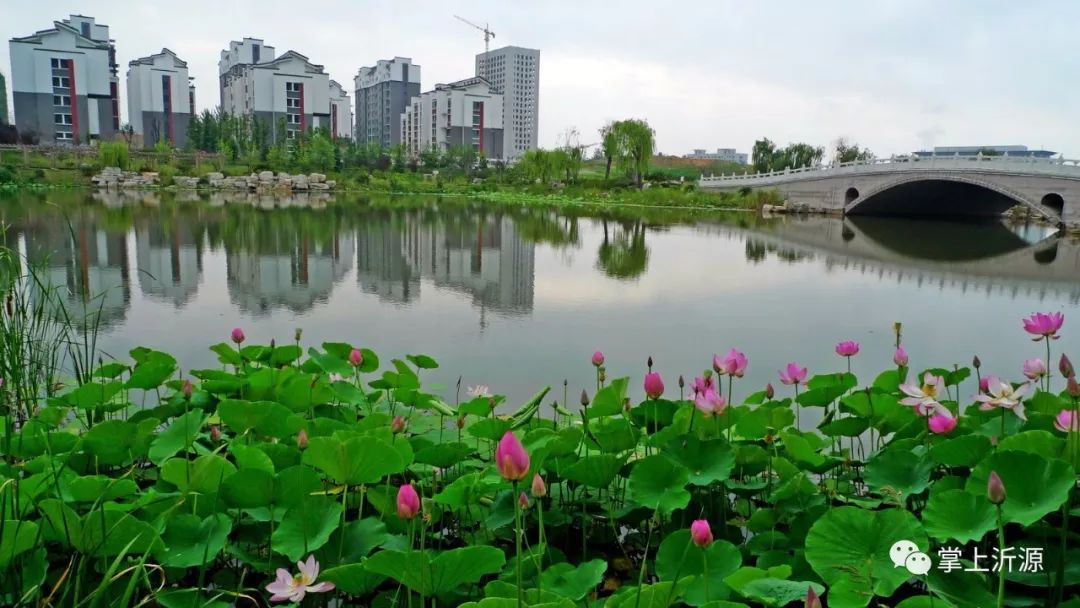 沂源县入选首批美丽中国深呼吸小城高质量发展实验区