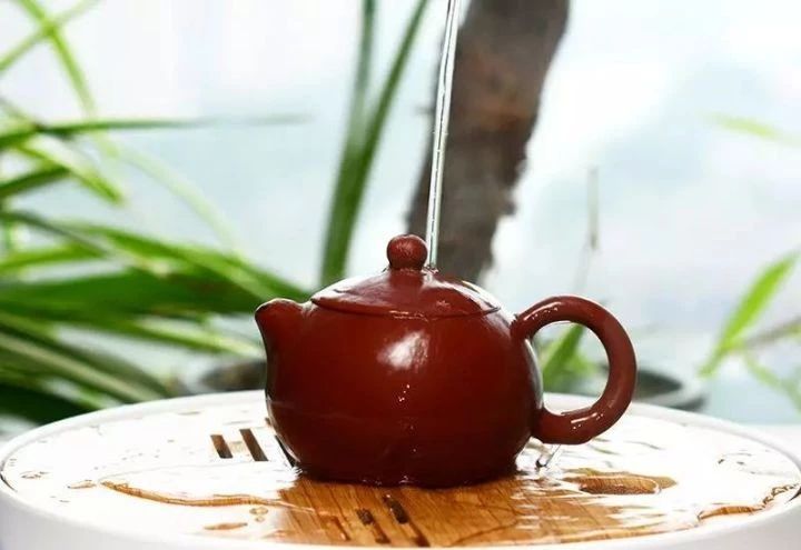 云雾缭绕茶山采摘,解渴消暑泡一杯普洱茶,体会茶香五层境界