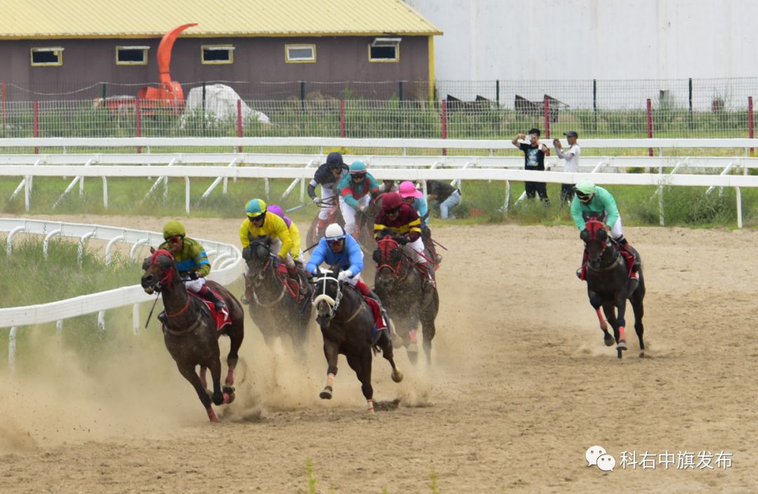 「直击现场」2019年全国速度赛马经典赛科右中旗站激情扬鞭