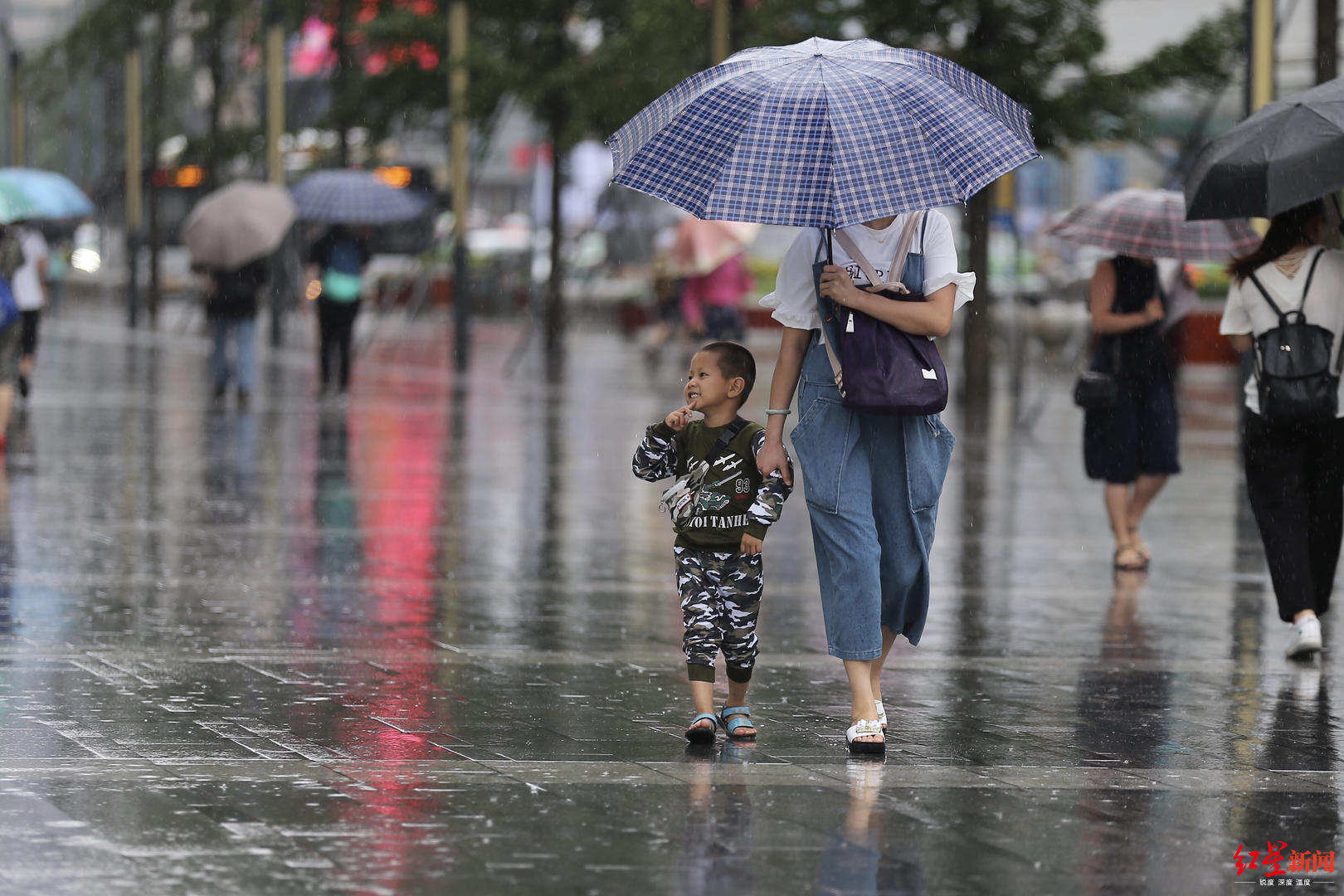 图集丨下雨天,有一种温情叫:我为你撑伞