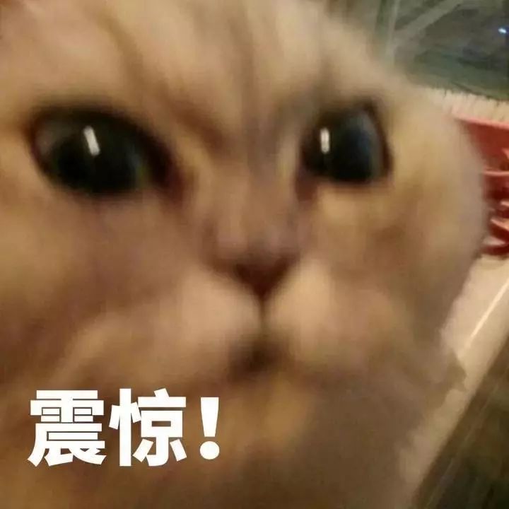 一番劝解下来,全家人都开始抱头痛哭 家里老人也一起跟着哭