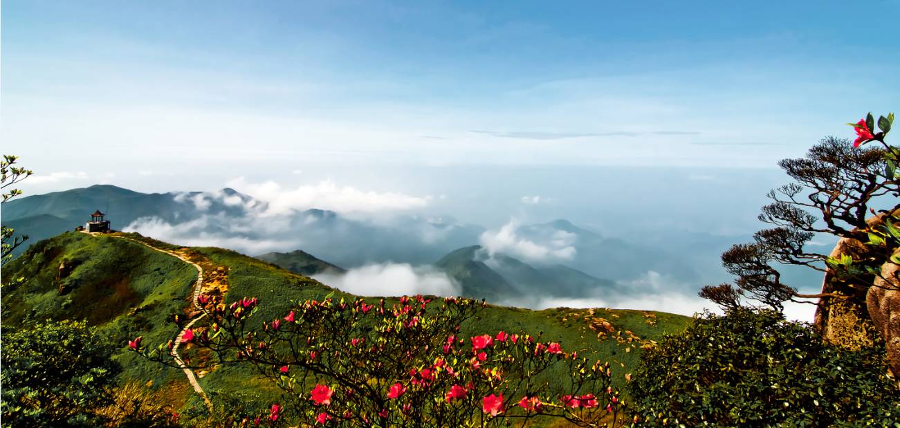 贺州旅游如何以突破性姿态与大湾区实现高效对接?