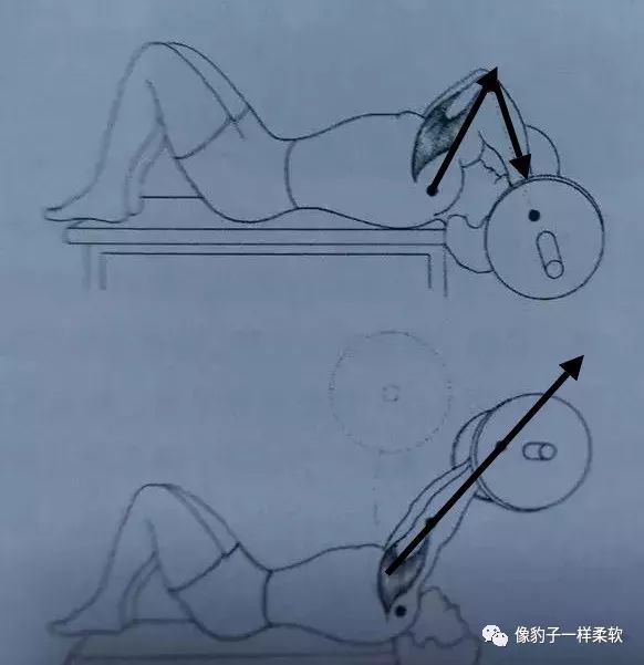 手臂系列之 仰卧臂屈 >