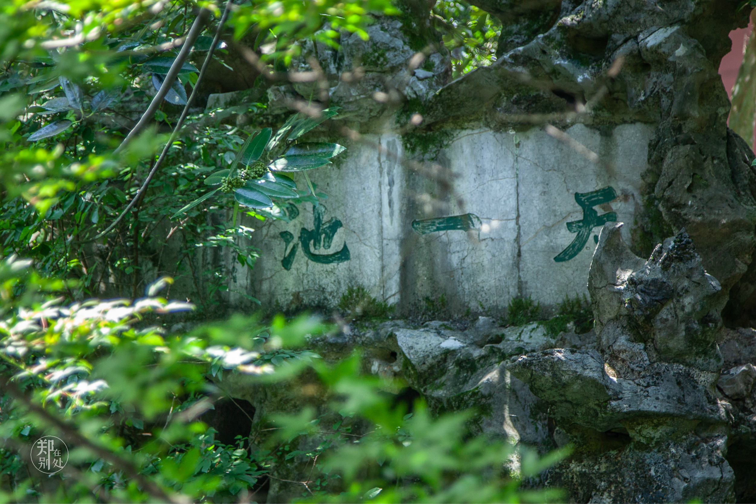 游杭州跟我走:玉皇山福星观,前面看江,后面看湖,此地最佳