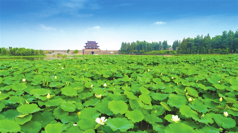 2019集邮周首日 仙桃"邮享美景"进景区