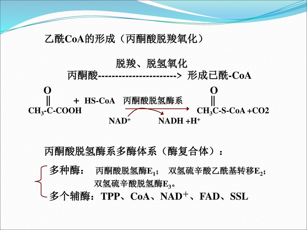 该过程的参与酶是一个复合体,硫辛酸是 ③    三羧酸循环示意图(从