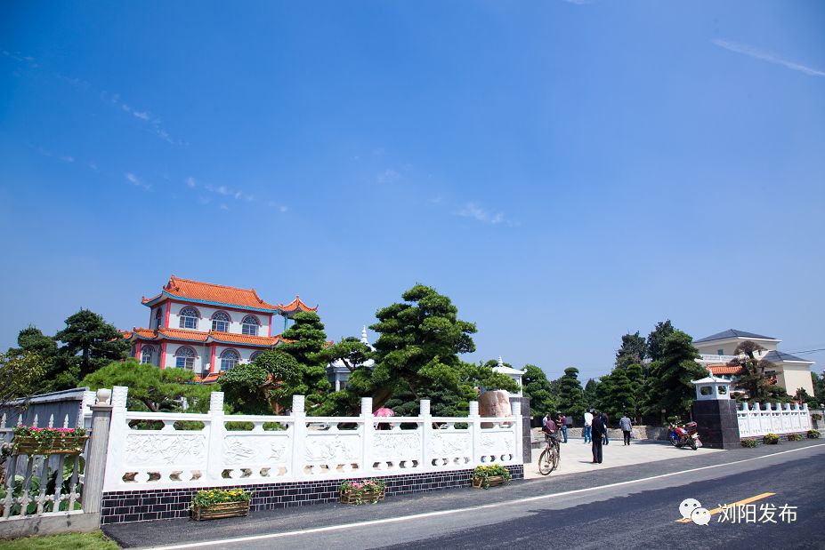 上级媒体看浏阳丨柏加镇美景里写出致富经绿心孕育百里花木走廊