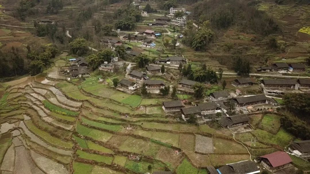 起 在方寸屏幕之间 去重温那些只属于村寨的独特记忆 去拥抱乡村仅有