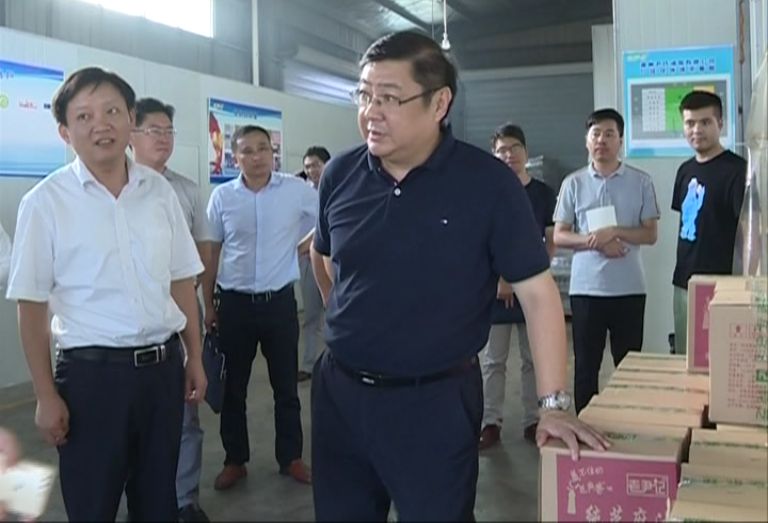 朱大纲到襄河镇石沛镇调研基层党建及村民自治试点工作