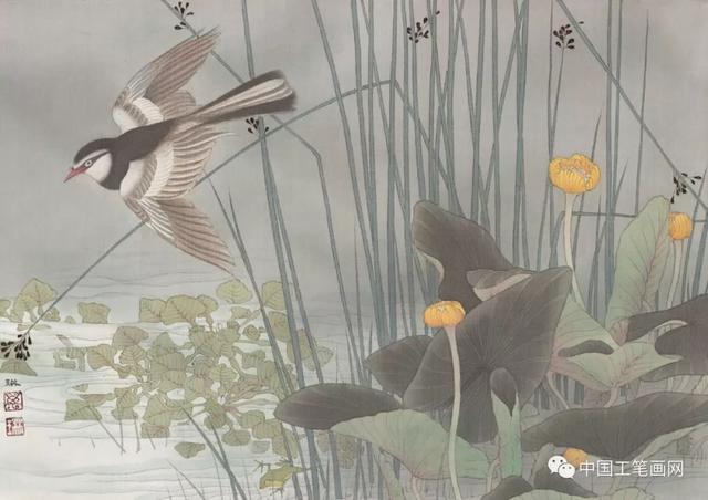青年工笔|万琳工笔画作品欣赏