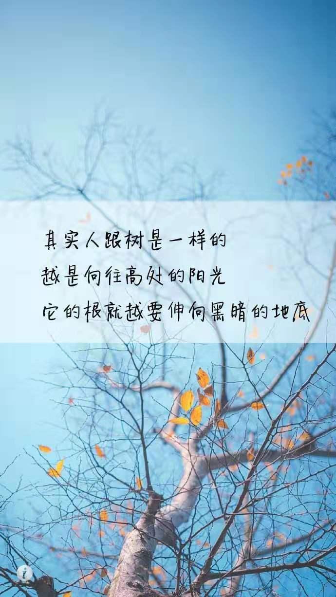 理解人生 感悟语录 经典句子