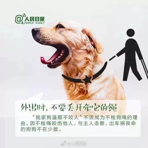 西安养宠物的人注意了:遛狗不拴绳,违规养犬,整治